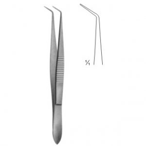 Dissecting Forceps Curved